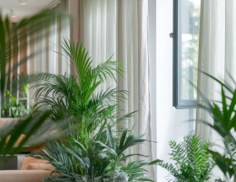 Comment améliorer la qualité de l'air intérieur pour une meilleure santé écologique ?