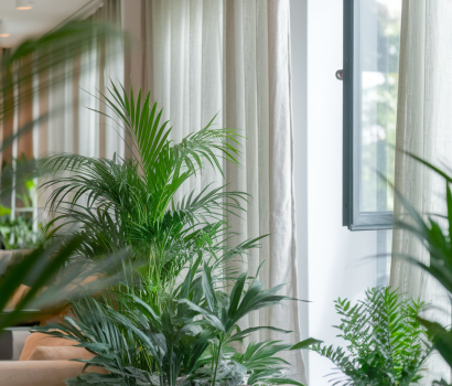 Comment améliorer la qualité de l'air intérieur pour une meilleure santé écologique ?